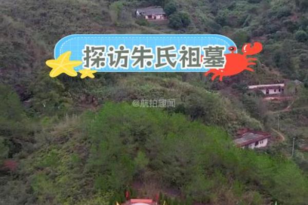 祖坟里放什么破风水，放什么好
