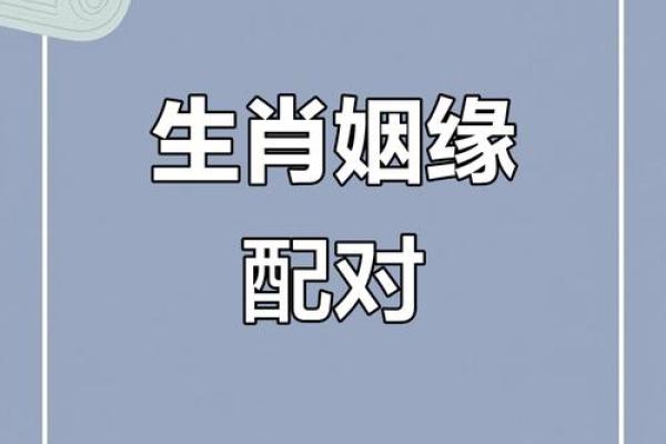 父母与子女属相配对