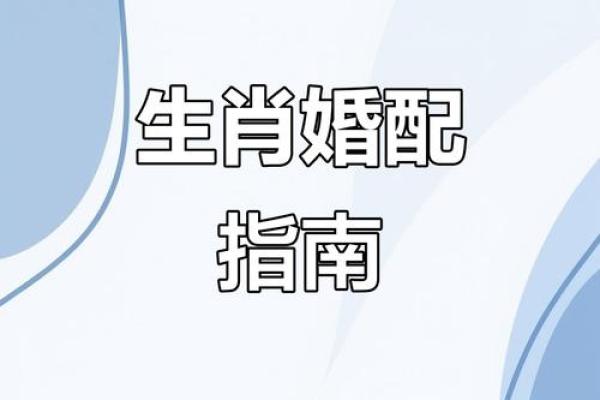 父母与子女属相配对