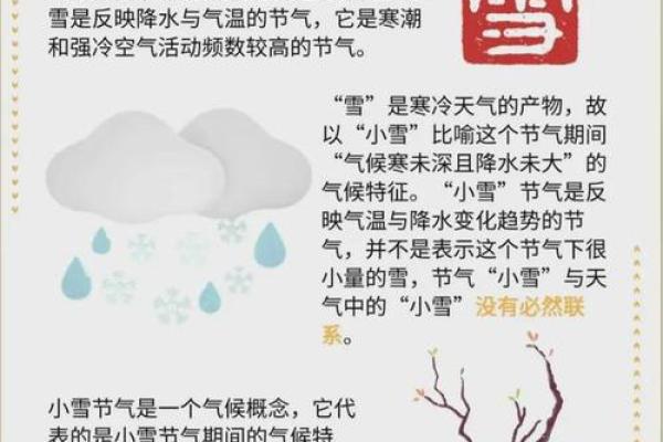 小雪民俗活动 小雪的名字有什么意义