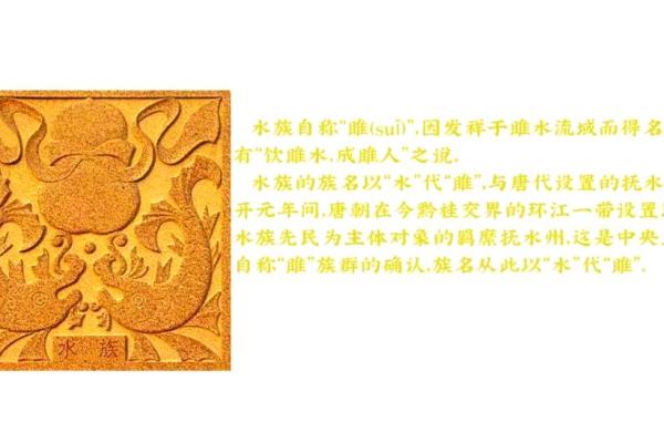 水族的传统节日有哪些？