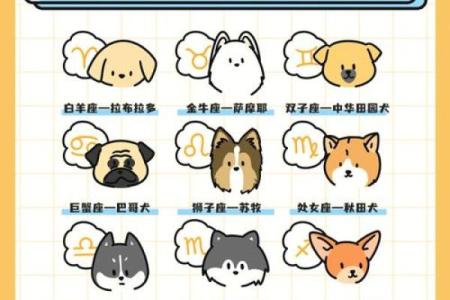 什么星座最适合养什么样的狗狗