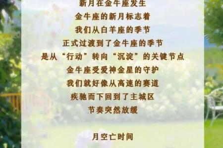 狮子座新月12星座许愿指南
