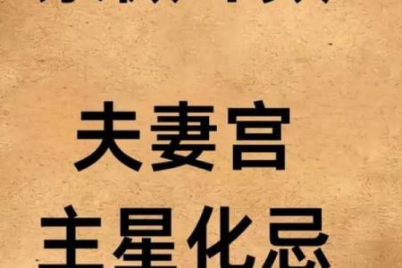 知恩报恩紫薇斗数下载