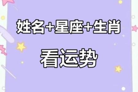 哪个动物是算命先生,哪个生肖会算命