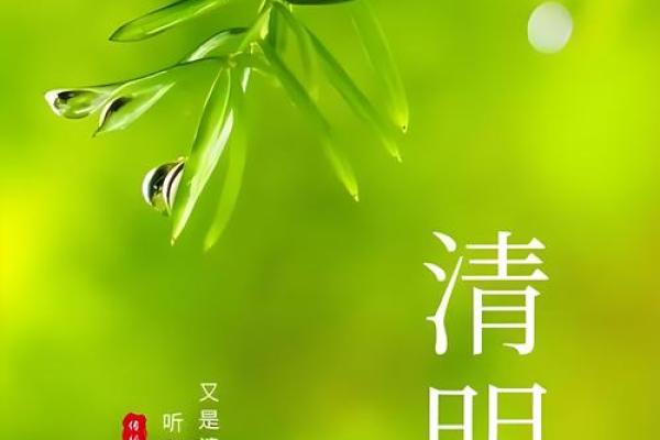 清明节前一天是什么节日 清明节又叫什么节-