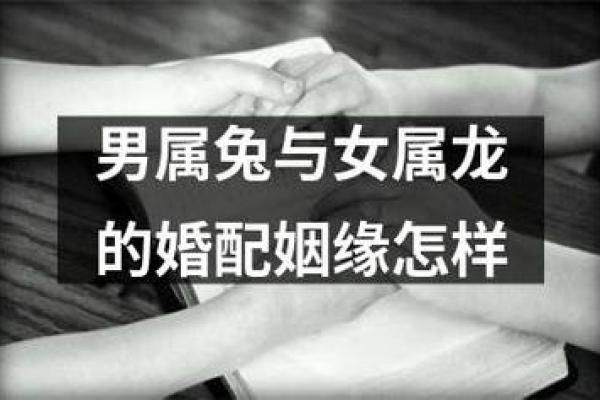 女牛男兔生肖配对姻缘 女牛男兔相配婚姻会怎么样？