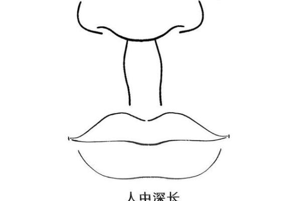 人中八字型