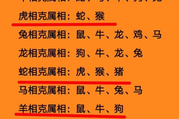 属兔男和什么属相最配对
