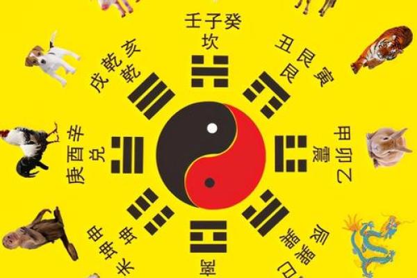 算命六兽排列详解视频