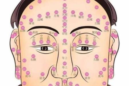 算命看面