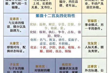 紫薇斗数爱情宫