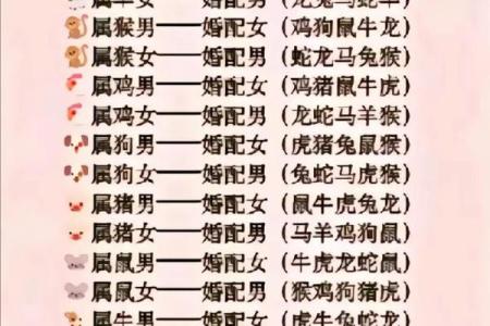 女牛男兔生肖配对姻缘 女牛男兔相配婚姻会怎么样？