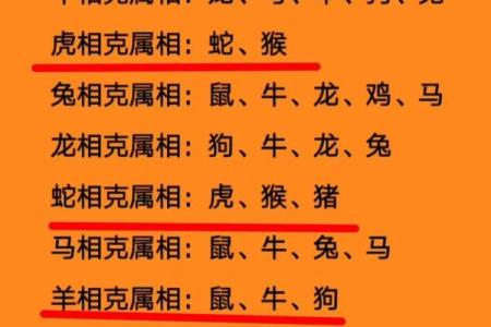 属兔男和什么属相最配对