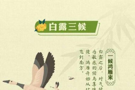 白露这一天有什么民俗-