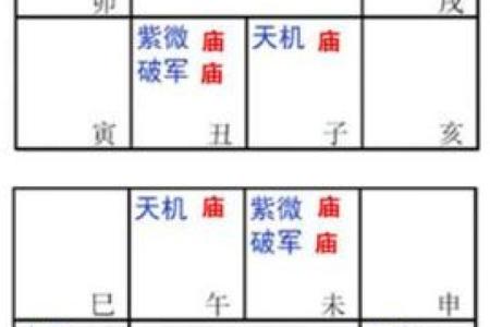 紫薇斗数入库忌