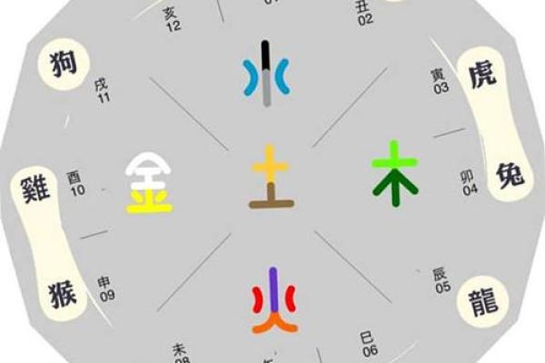 八字十二地支的五行属性