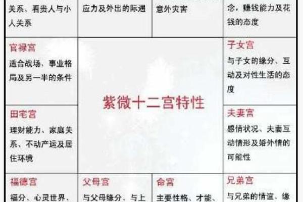 紫微斗数诸星落诸宫之:贪狼星福德宫详解 紫微斗数诸星落诸宫之:贪狼星福德宫详解