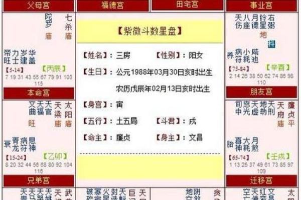 紫薇斗数中的坐守是什么