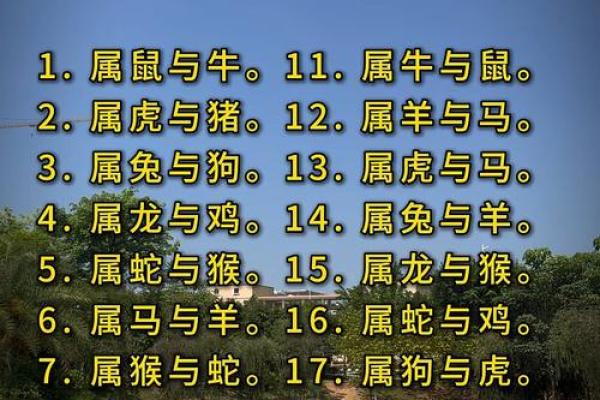 男女婚姻属相配对表 如何利用男女婚姻属相配对表选择恋爱对象