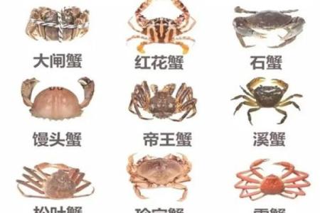 哪个星座的人最喜欢吃螃蟹