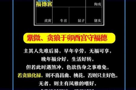 紫薇斗数中的坐守是什么