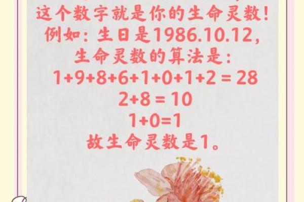 生命灵数配对怎么安排