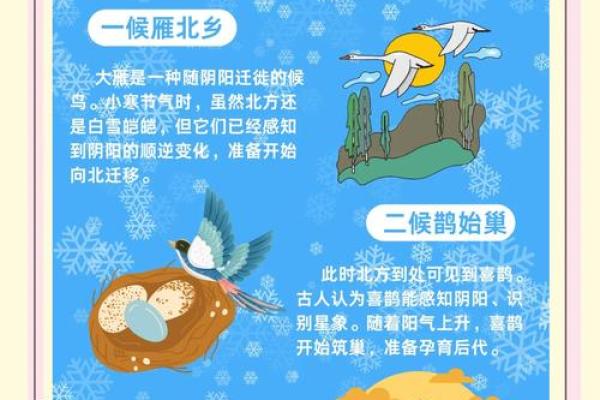 小寒节气的民俗活动 小寒的传统风俗有哪些
