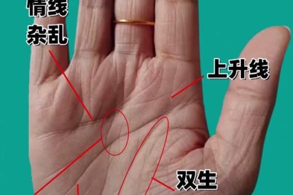 《手相学习百科》：掌纹介绍