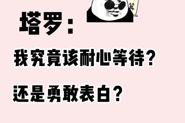 塔罗测试他为什么不联系我？