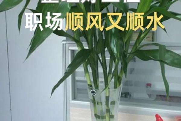 职场要注意，附基本的风水常识