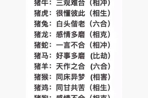 属相猪的性格特点及其与其他属相的配对