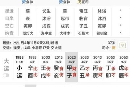 申辰相拱女命  八字申辰相拱
