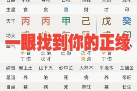 八字360