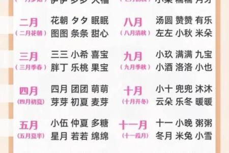 姓名免费打分测试100分