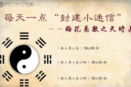 梅花易数算命准确吗