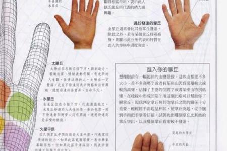 《手相学习百科》：掌纹介绍