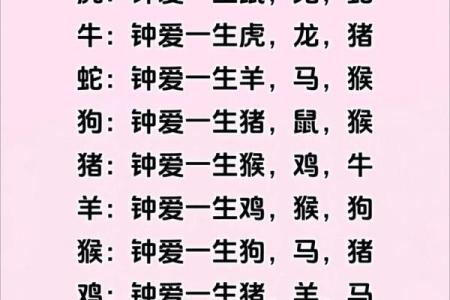 生肖五行配对 五行与十二生肖的搭配方式