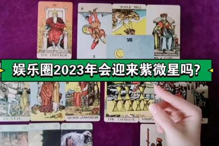 天降紫薇星百度网盘