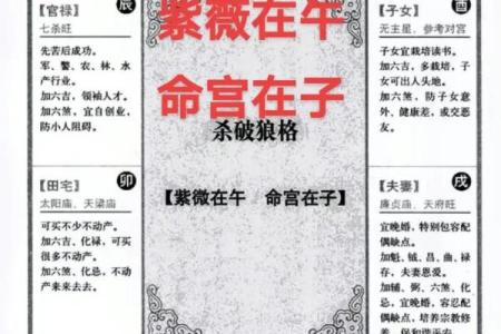 紫薇斗数紫薇星财锦