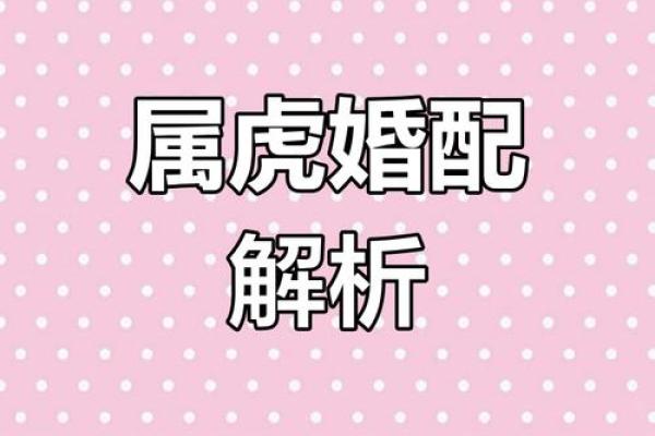 生肖虎配对