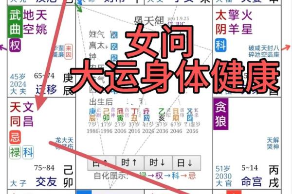 紫微斗数命盘大运流年解析0623