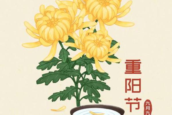 9月9日重阳节是什么意思 重阳节是什么意思什么节日