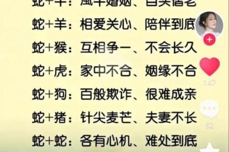属兔正缘出现在哪年 属兔人婚姻配对表
