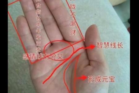 《手相学习百科》：拇指
