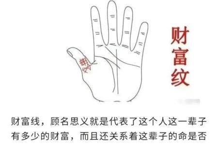 《手相学习百科》：手相看财运和好运