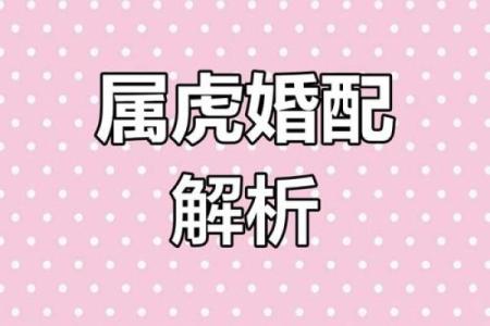 生肖虎配对
