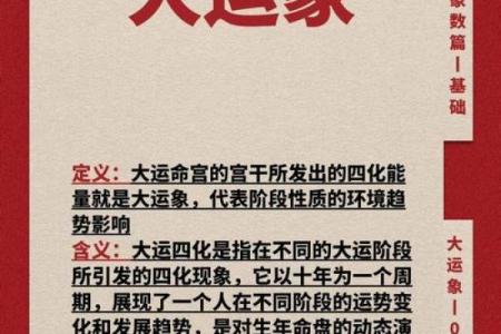 紫微斗数命盘大运流年解析0623