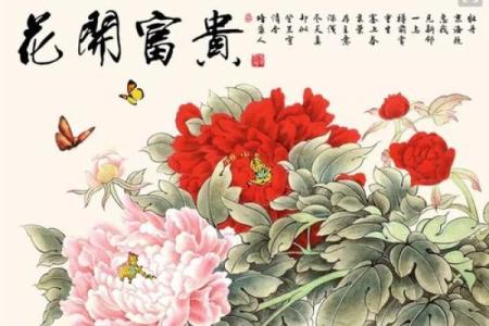 “粽情端午”五月初五这天，做好七点开运民俗，旺福旺财一旺到底