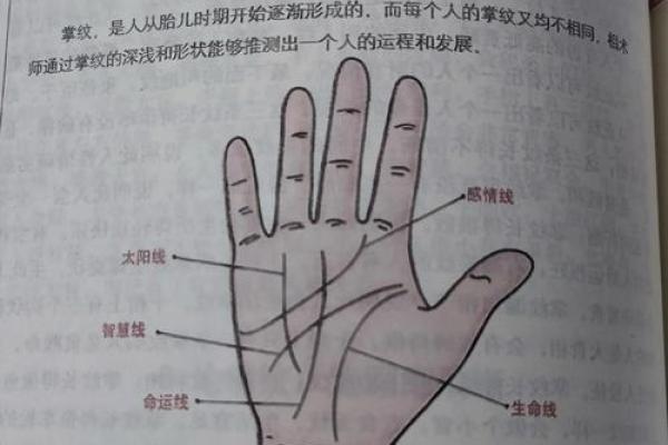《手相学习百科》：双手之间的差异